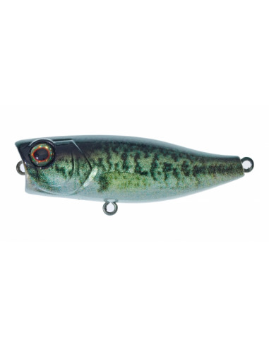 illex Chubby POP 42 Popper 4,2 cm / Fb.: RT Biwako Bass