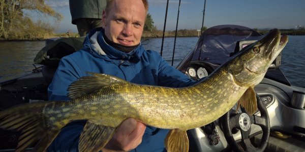 In den letzten Monaten gab es ne Menge Fisch